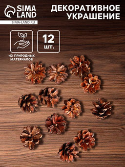 Новогодний декор Набор натуральных шишек 12 шт. - Лесная мастерская фото 7