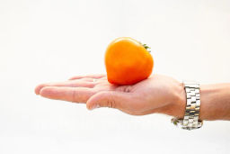 Томат Золотая Миля - Партнер фото 3