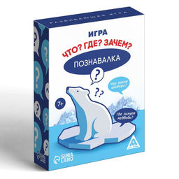 Развивающая игра Познавалка. Что? Где? Зачем?, 60 карточек - Лас играс фото 3