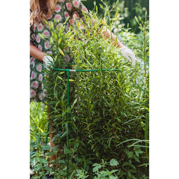 Кустодержатель, d=50 см, h=100 см, ножка d=1 см, металл, зелёный, троеножка