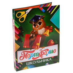 Папка школьная на кольцах «Портфолио школьника», 6 листов-разделителей, 24.5×32 см