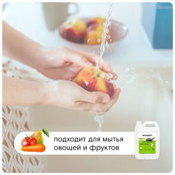 Средство для мытья посуды, овощей и фруктов, Яблочный цвет WONDER lab, 5л  фото 3