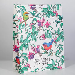 Пакет подарочный ламинированный, упаковка, Present for you, 61?46?20 см
