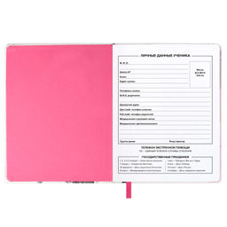 Дневник школьный арт. 68717 / 15 МИШКА В ШАПОЧКЕ