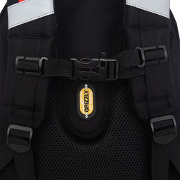 RAz-587-15 Рюкзак школьный - Grizzly фото 38