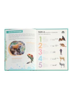 Энциклопедия «Животные»