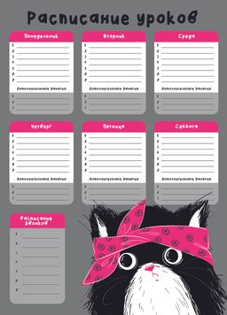 Расписание уроков арт. 60373 ХИП ХОП КОМАНДА , А3, полноцветная печать, полипропилен/