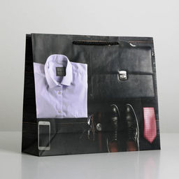 Цена за 2 шт. Пакет подарочный ламинированный, упаковка, Стиль, ML 21?25?8 см