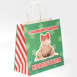Пакет подарочный Красотуля, 22 22 11 см