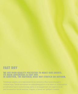 ATLANTIC KMB-222 Шорты мужские пляжные Fast Dry лайм  фото 4