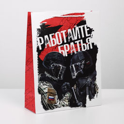 Пакет ламинированный Братья, L 31 х 40 х 11,5 см