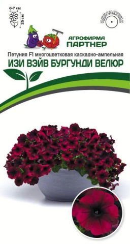 Петуния Изи Вэйв Бургунди Велюр каскадно-ампельная
