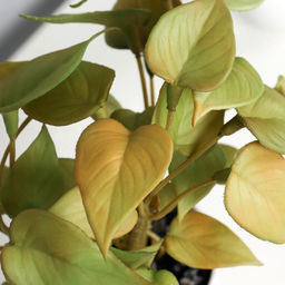 Искусственный цветок в горшке Сингониум премиум (мягкий лист), 15?7 см, МИКС