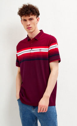 Футболка-поло мужская в полоску F311-07-601 бордовая