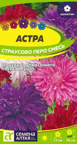 Астра Страусово Перо Смесь окрасок 0,3г (Семена Алтая)