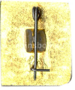 Значок Всесоюзное музыкальное общество