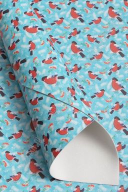 Кожзам "Снегирь" А4 (5 листов) SF-6175