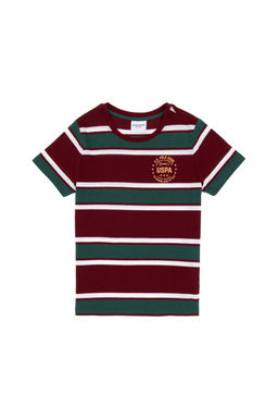 Базовая футболка бордового цвета для мальчика Неожиданная скидка в корзине - U.s. polo assn фото 2