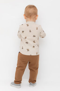 Crockid _ КР 400747/пряная корица к542 брюки д/мал яс