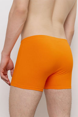 ТРУСЫ МУЖСКИЕ арт. 1911M-40010.1L-435