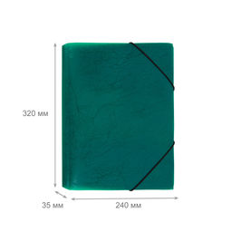 Expert Complete Premier Папка на резинке A4 600 мкм 35 мм волокно 5 шт. зеленый new EC21043003