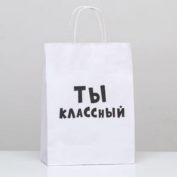 Цена за 2 шт. Пакет подарочный Ты классный, 24 х 10,5 х 32 см, 1 шт