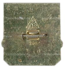 Значок Владимир