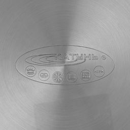 Кастрюля Катунь «Общепит», 9 л, d=24 см, с крышкой, капсульное дно, индукция, нержавеющая сталь, хромированный