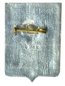 Значок Демянск