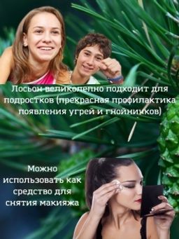 Лосьон ТАЁЖНЫЙ 150 мл - Sismetica фото 7