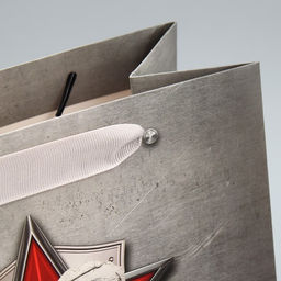 Цена за 2 шт. Пакет подарочный ламинированный, упаковка, «С 23 февраля», MS 18×23×10 см