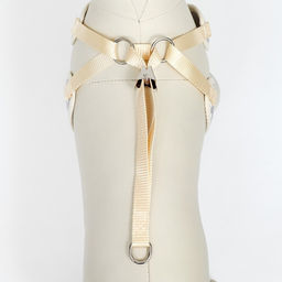 Комплект с мягкой шлейкой Горох, размер М, поводок 120 х 1,5 см, ОГ 34-66 см, серый - Пижон фото 7