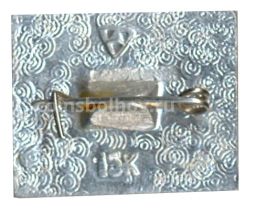 Значок Владимир