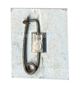 Значок И.С. Тургенев