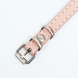 Намордник пластиковый №1 с ошейником из эко кожи ОМ 11 см ДН 5 см ОШ 31-42 см - Пижон фото 4