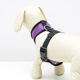 Шлейка мягкая из неопрена, размер L, ОШ 39 см, ОГ 36-46 см, фиолетовая - Пижон фото 2