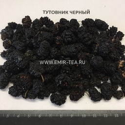 Тутовник черный (код 1627)