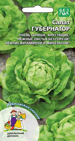 Салат ГУБЕРНАТОР  Очень сочные, хрустящие, нежные листья без горечи! Обилие витаминов и минералов!