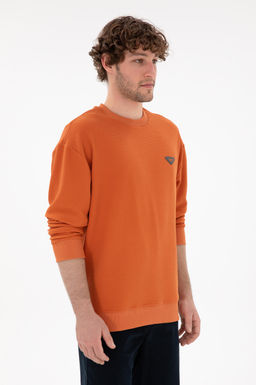 Мужской свитшот цвета корицы Неожиданная скидка в корзине