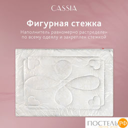 CASSIA АЙЛИН Одеяло 220х240, 1 пр., жаккард хл,виск.шелк/микрогель Airsoft  фото 24
