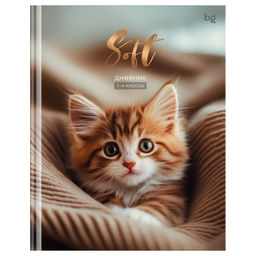 Дневник тв. об., 1-4 кл. "Soft" (Д5т48_лм 64740, BG) матовая ламинация