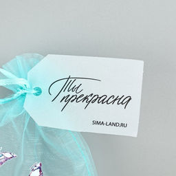 Цена за 5 шт. Мешочек подарочный из фатина с термонаклейкой Ты прекрасна, 11 х 16 см +/- 1.5 см - Дарите счастье фото 4