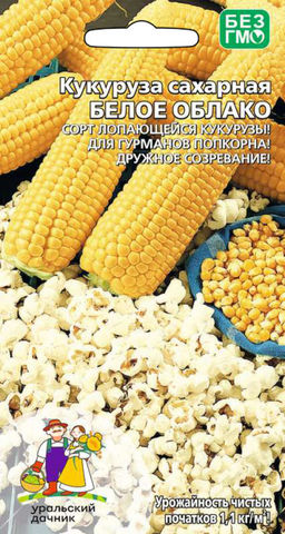 Кукуруза БЕЛОЕ ОБЛАКО  Лопающаяся кукуруза для приготовления попкорна!