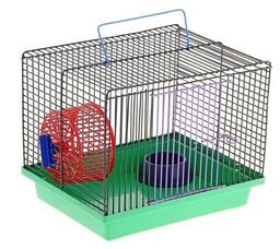 Клетка д/грыз. Зоолайф Кубик (23*18*19см) 1206