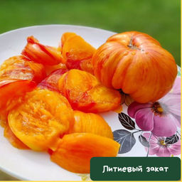 Литиевый Закат - Tomatia фото 2