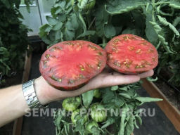 Томат Полосатый Шоколад - Партнер фото 5