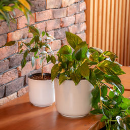 Горшок цв. Линель 6л двойной (бежевый) М8705 - Альтернатива фото 9