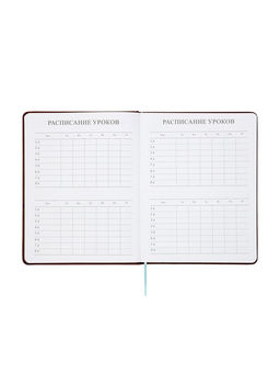 Дневник школьный 1-11 класс, лассе, обложка искуственная кожа коричневая, Рыцарь