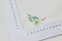 Перкаль Премиум с вышивкой Полевые цветочки цв.белый, СОРТ2, ш.1.54м, хл-100%, 115гр/м.кв - Купава фото 7