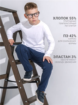 Брюки 1ПББ837176